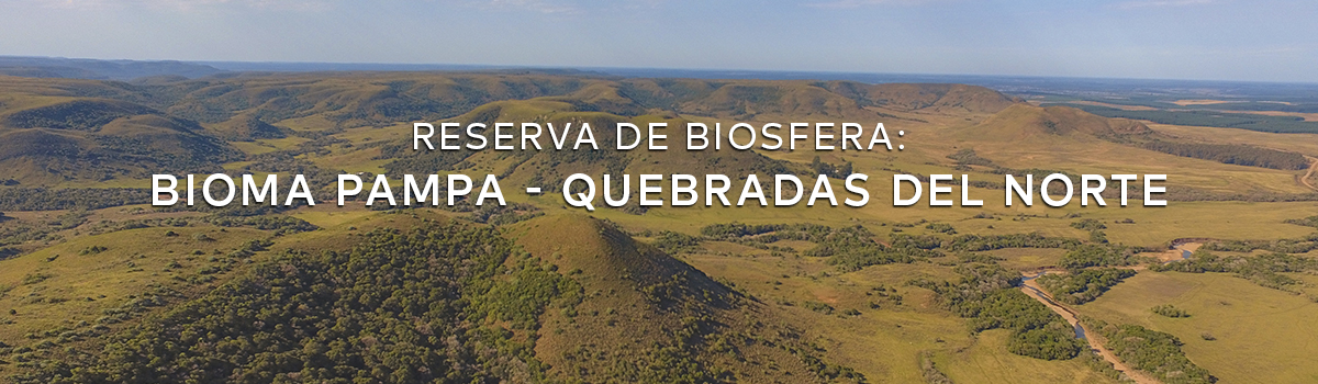 Bioma Pampa - Quebradas del Norte