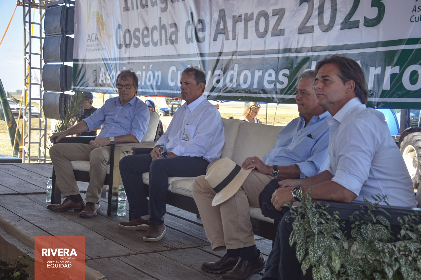 Cosecha de arroz 2023