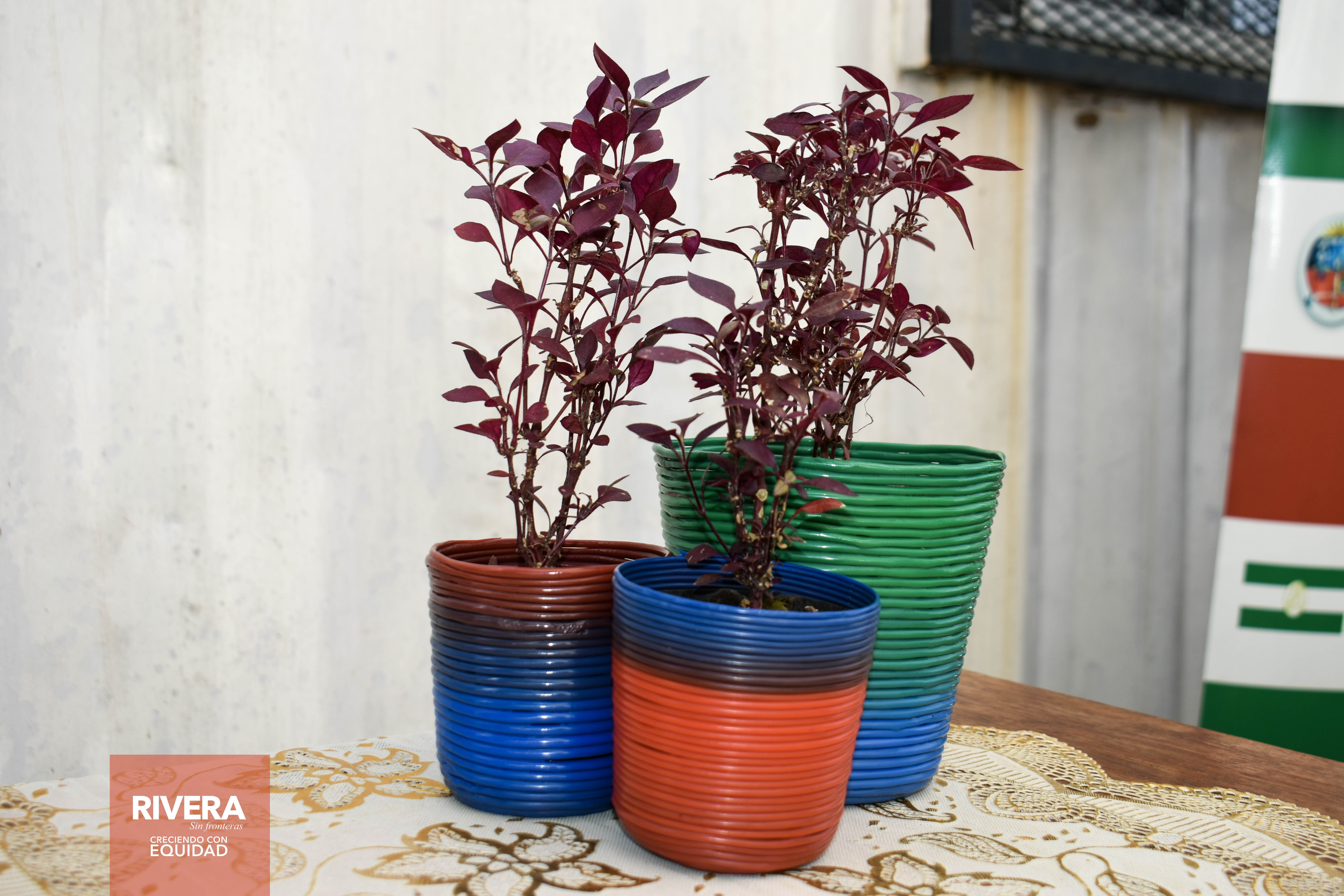 Proyecto Precious Plastic