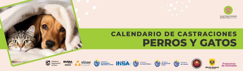 Calendario de Castraciones