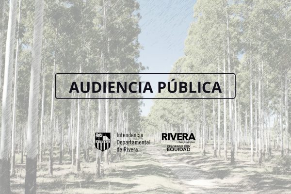 Audiencia Pública