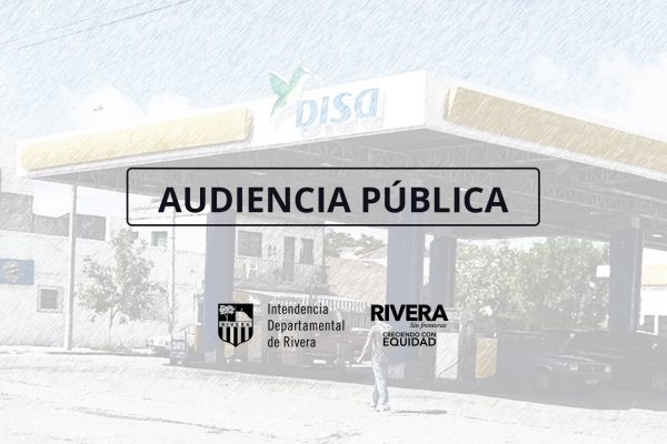 Audiencia Pública